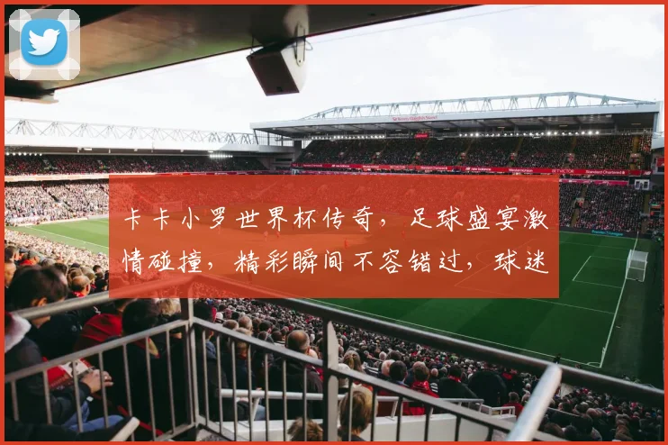 卡卡小罗世界杯传奇，足球盛宴激情碰撞，精彩瞬间不容错过，球迷狂欢盛宴
