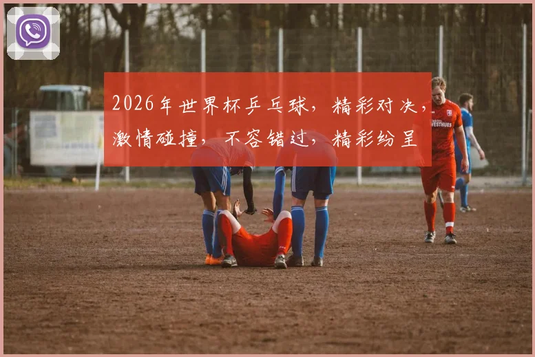 2026年世界杯乒乓球，精彩对决，激情碰撞，不容错过，精彩纷呈