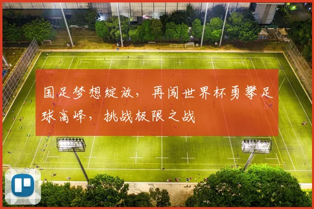 国足梦想绽放，再闯世界杯勇攀足球高峰，挑战极限之战
