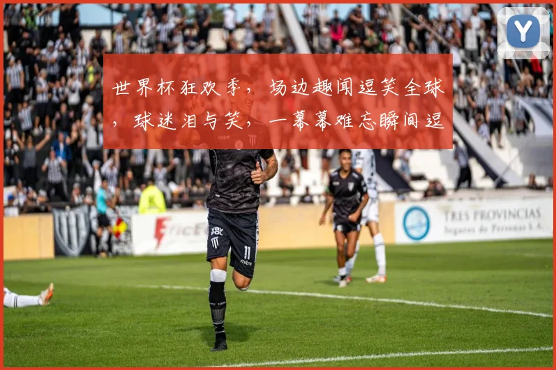 世界杯狂欢季，场边趣闻逗笑全球，球迷泪与笑，一幕幕难忘瞬间逗逗逗