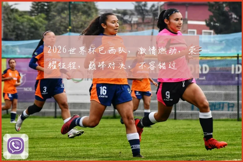 2026世界杯巴西队，激情燃动，荣耀征程，巅峰对决，不容错过