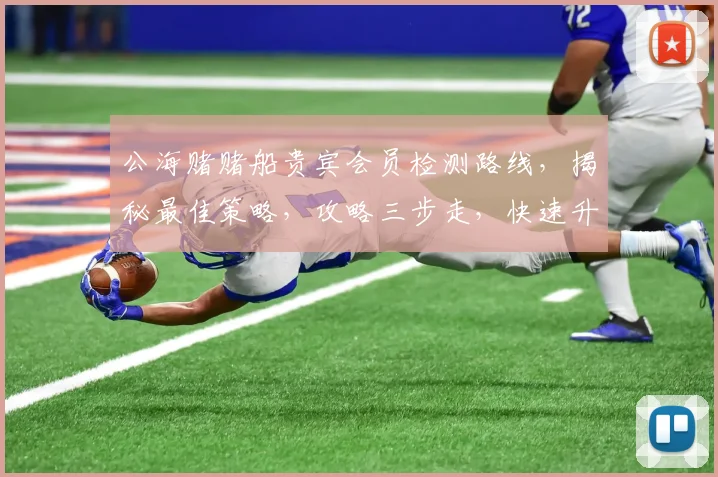 公海赌赌船贵宾会员检测路线，揭秘最佳策略，攻略三步走，快速升级